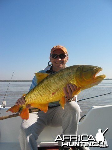 Fishing Dorado in Argentina