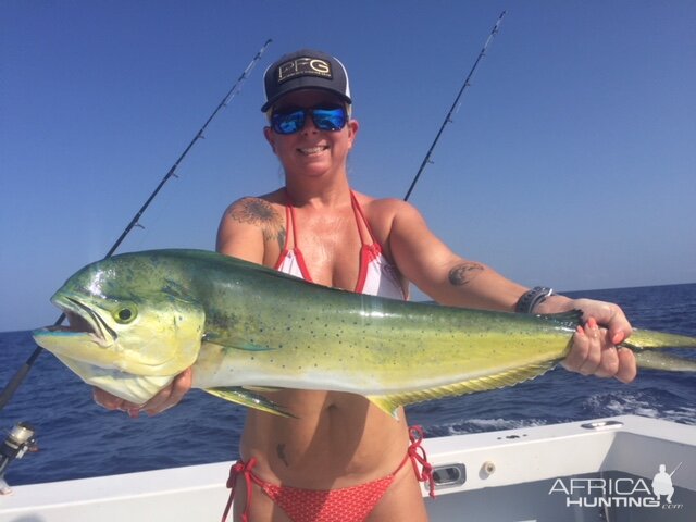 Fishing Dorado in Florida Keys