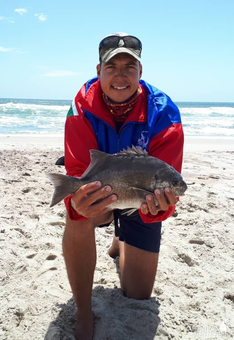 Fishing Galjoen in Namibia