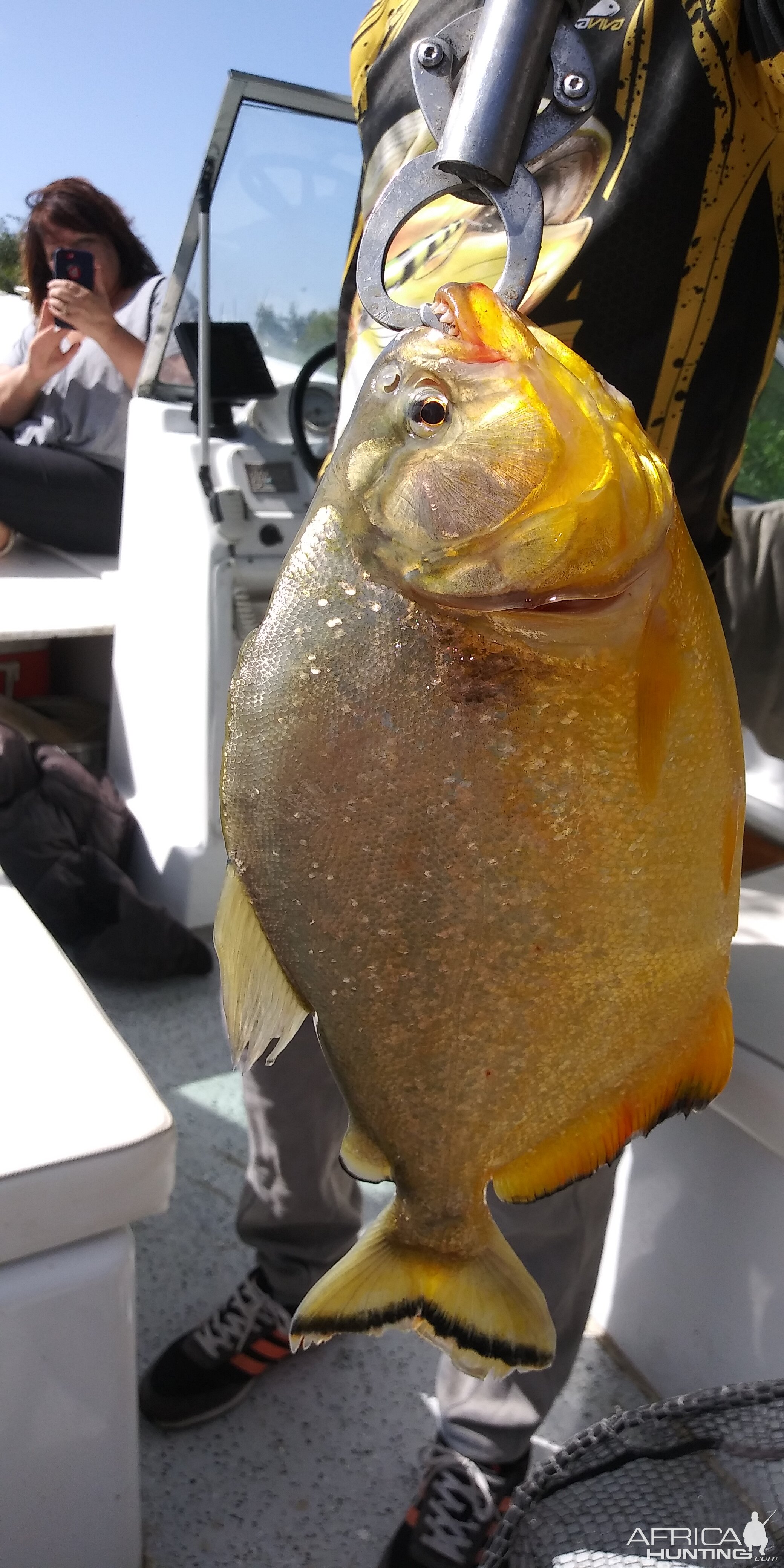 Fishing in Argentina