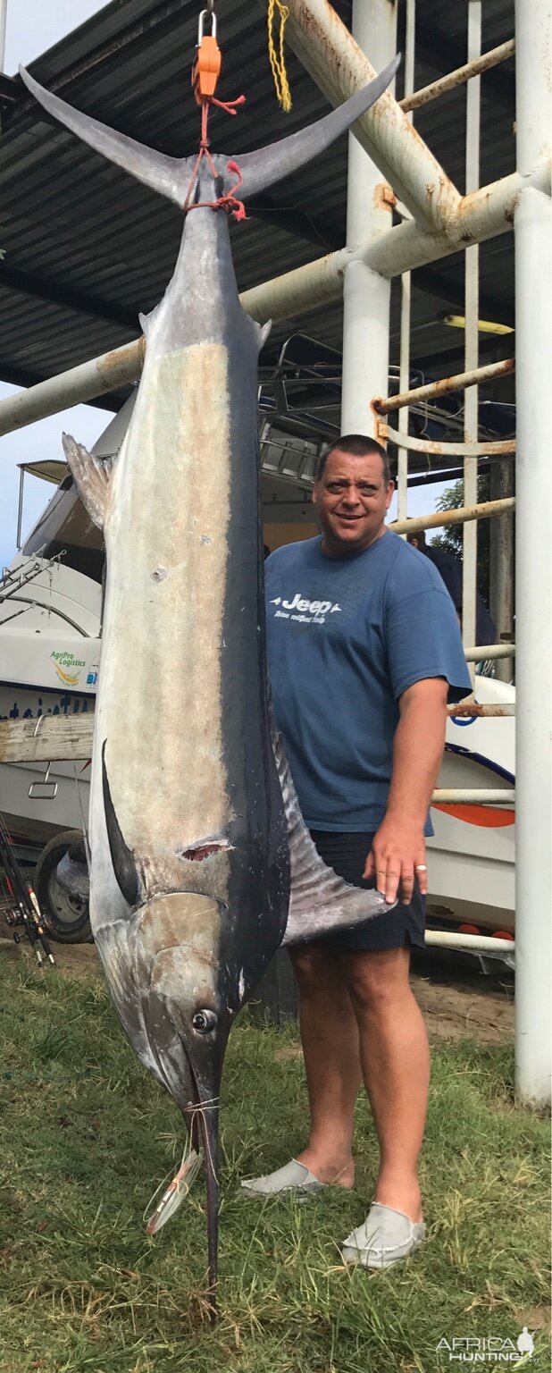 Fishing Marlin in South Africa