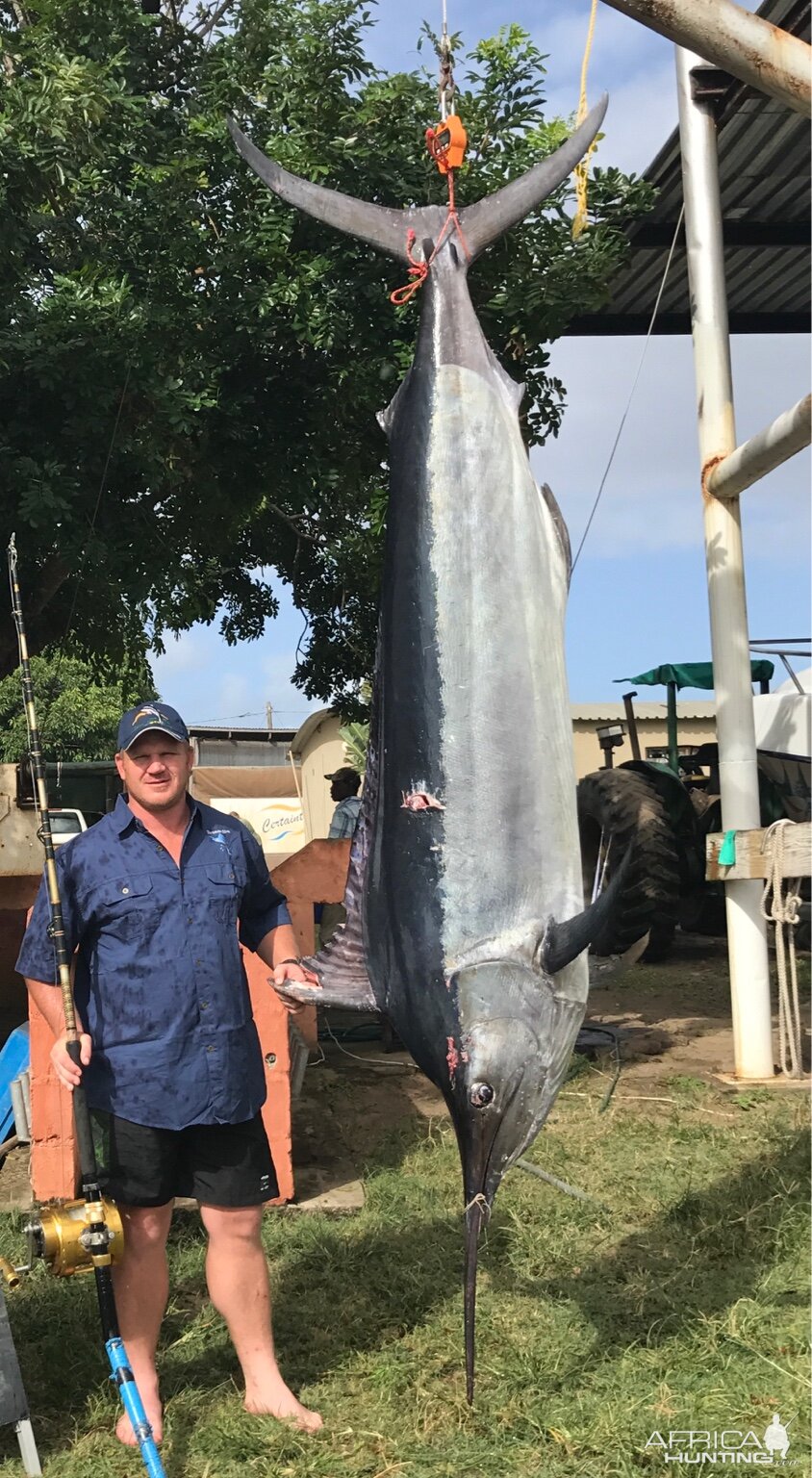 Fishing Marlin in South Africa