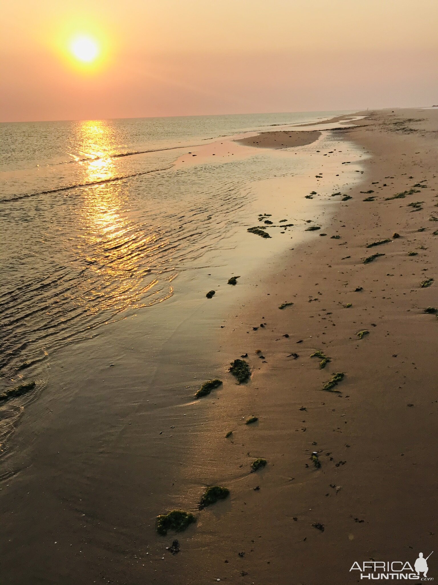 Fishing Mozambique