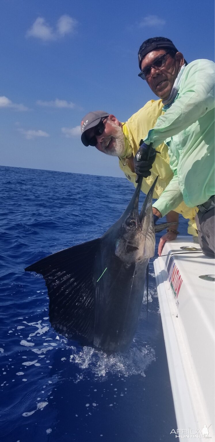 Fishing Sailfish in Costa Rica