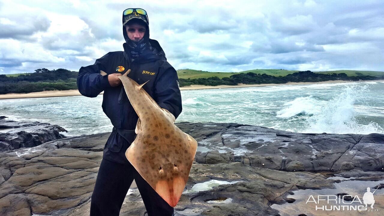 Fishing Sandshark in South Africa