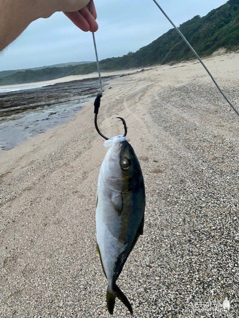 Fishing South Africa