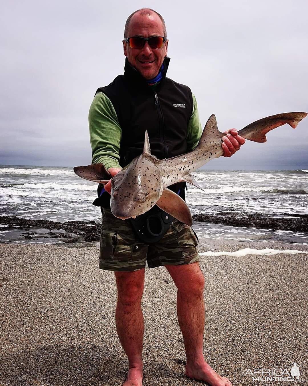 Fishing Spotted Gully Shark in Namibia