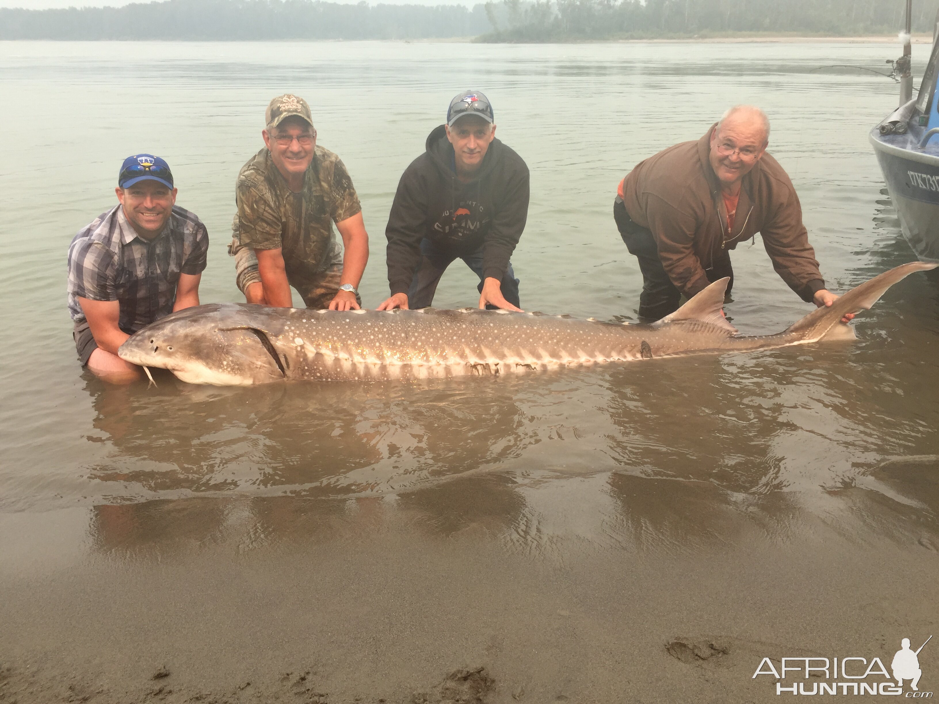 Fishing Sturgeon British Columbia Canada