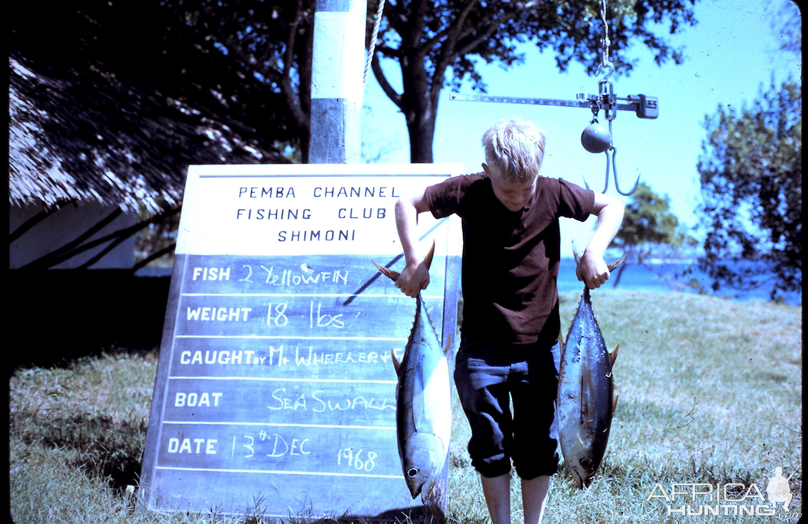 Fishing Tanzania during 60's