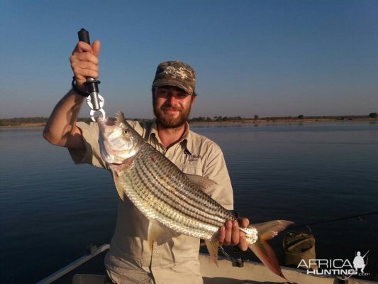 Fishing Tiger Fish Zimbabwe