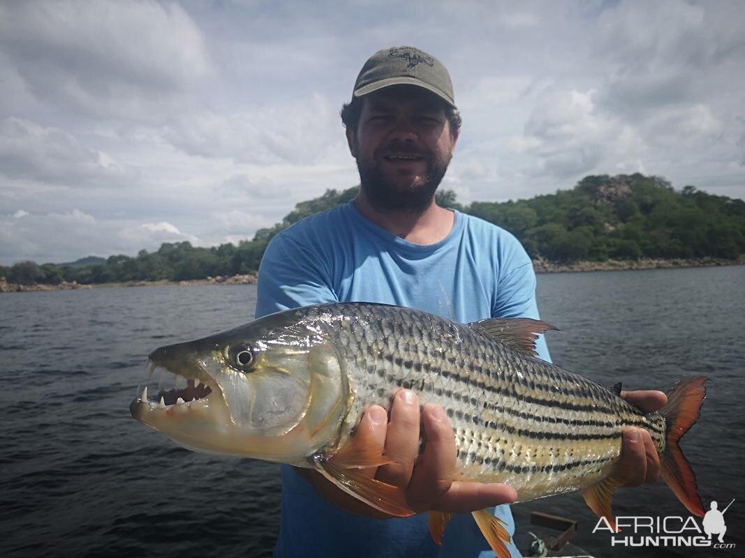 Fishing Tigerfish in Cahora Bassa Mozambique