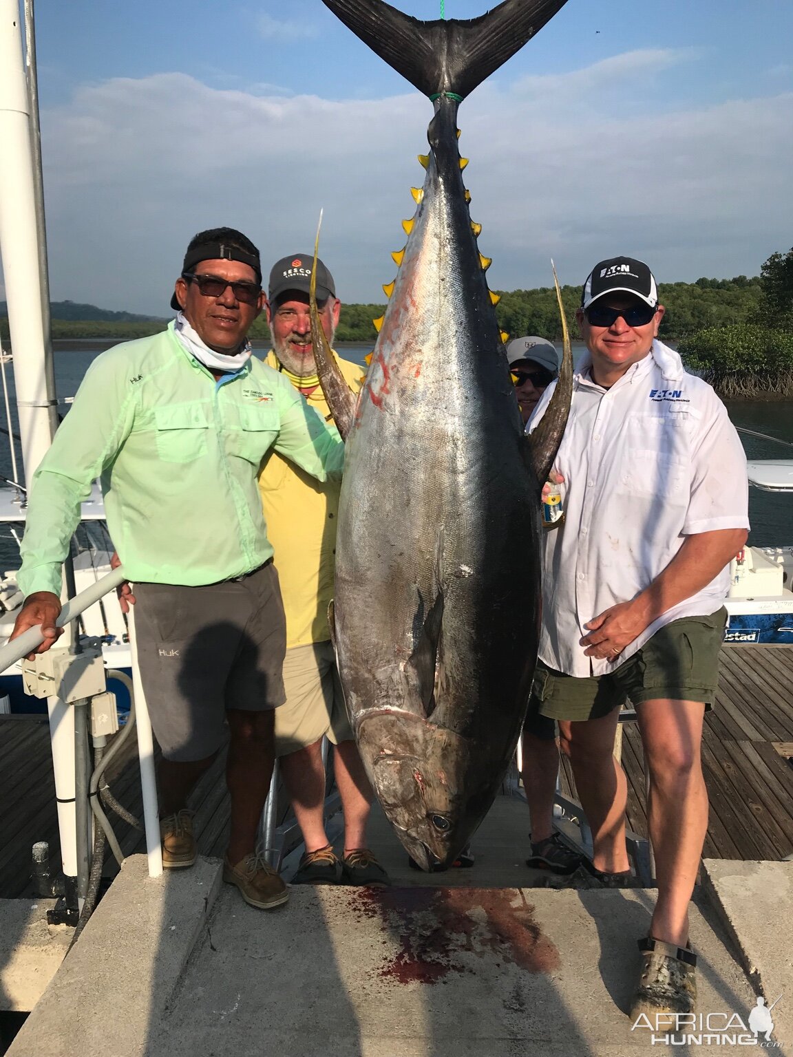 Fishing Yellowfin Tuna in Panamá