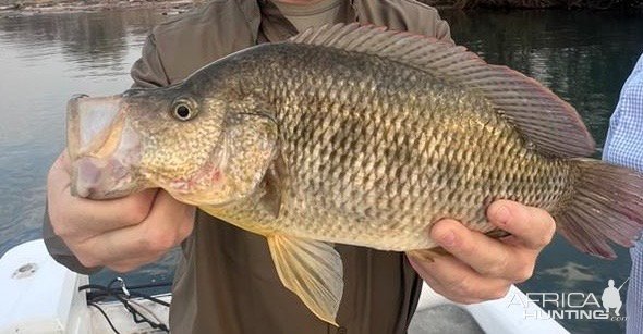 Fishing Zimbabwe