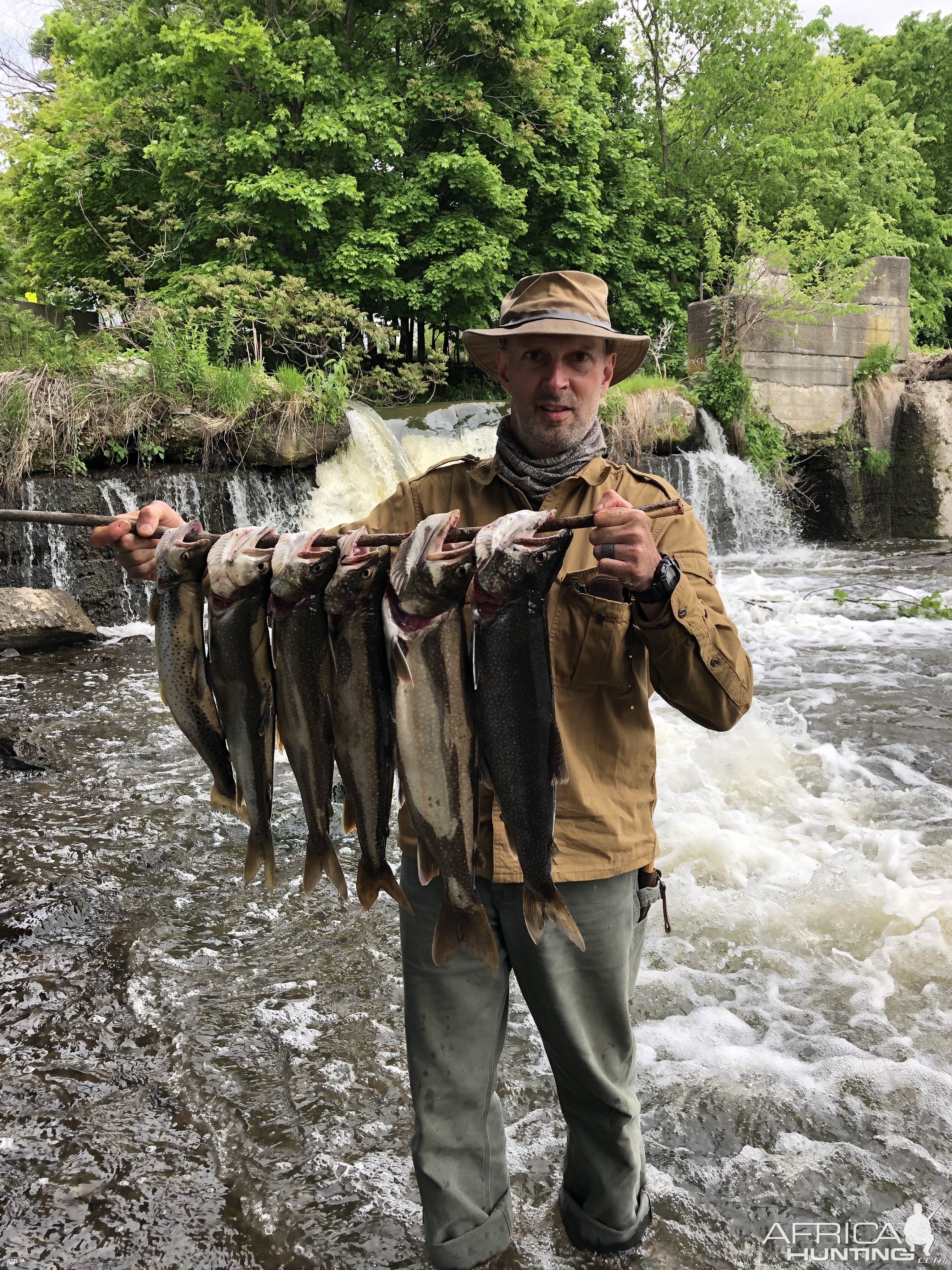 Five Lake Trout & a Brown Trout - Taken on the Roundout Reservoir in NY.