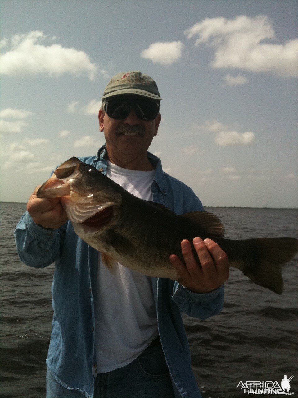 Florida bass