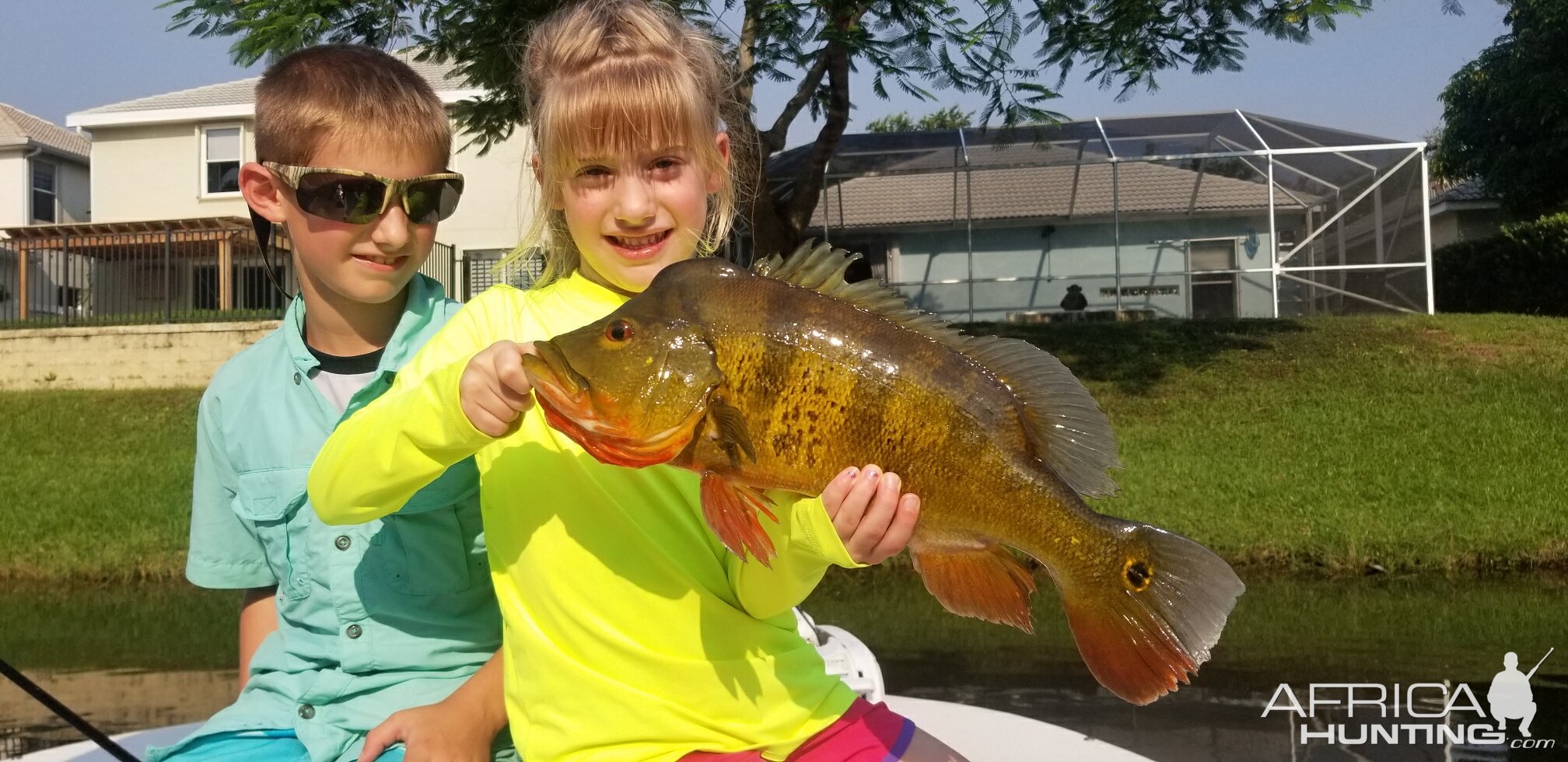 Florida USA Fishing Peacocks