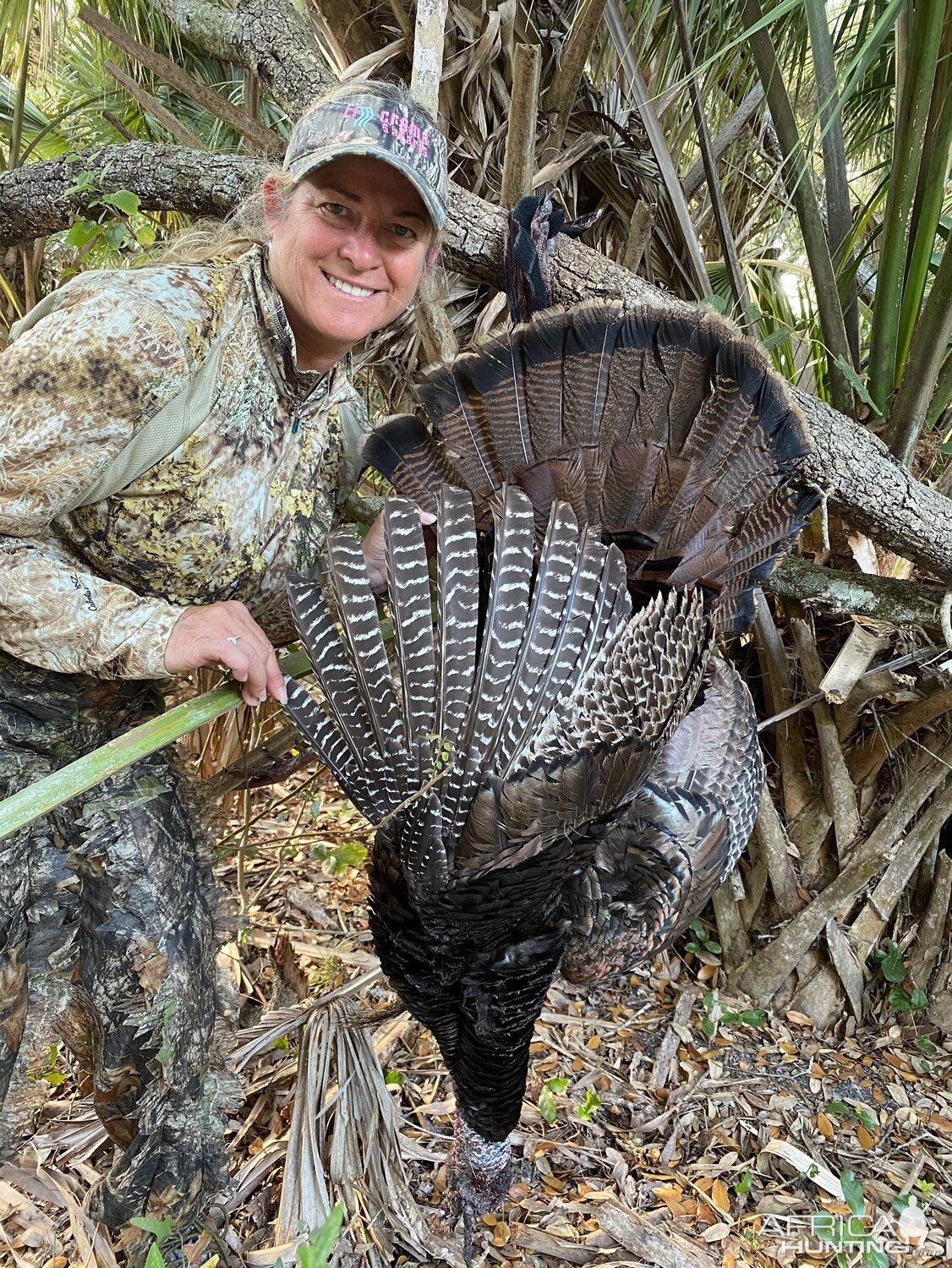 Florida USA Hunt Osceola Turkey