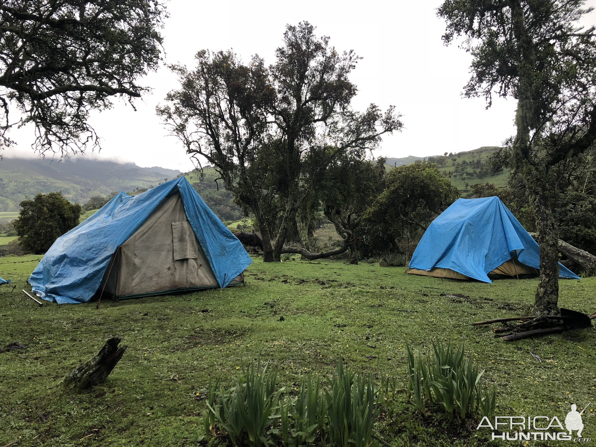 Fly Camp - A series of seven tents