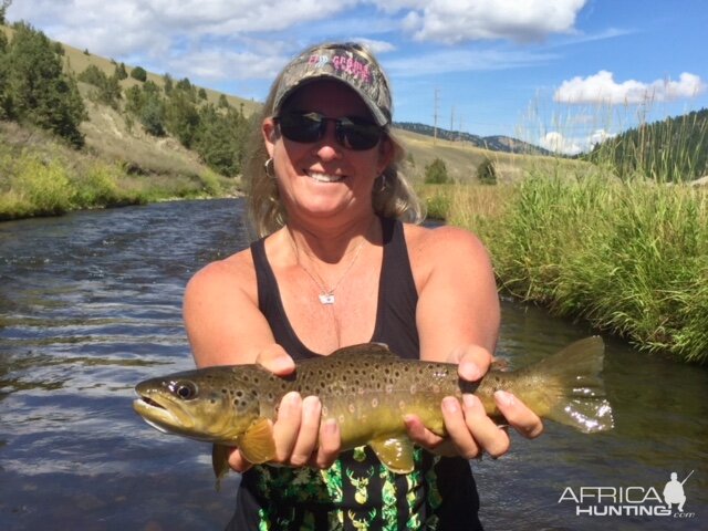 Fly Fishing Brown Trout in Montana, Idaho & Wyoming USA