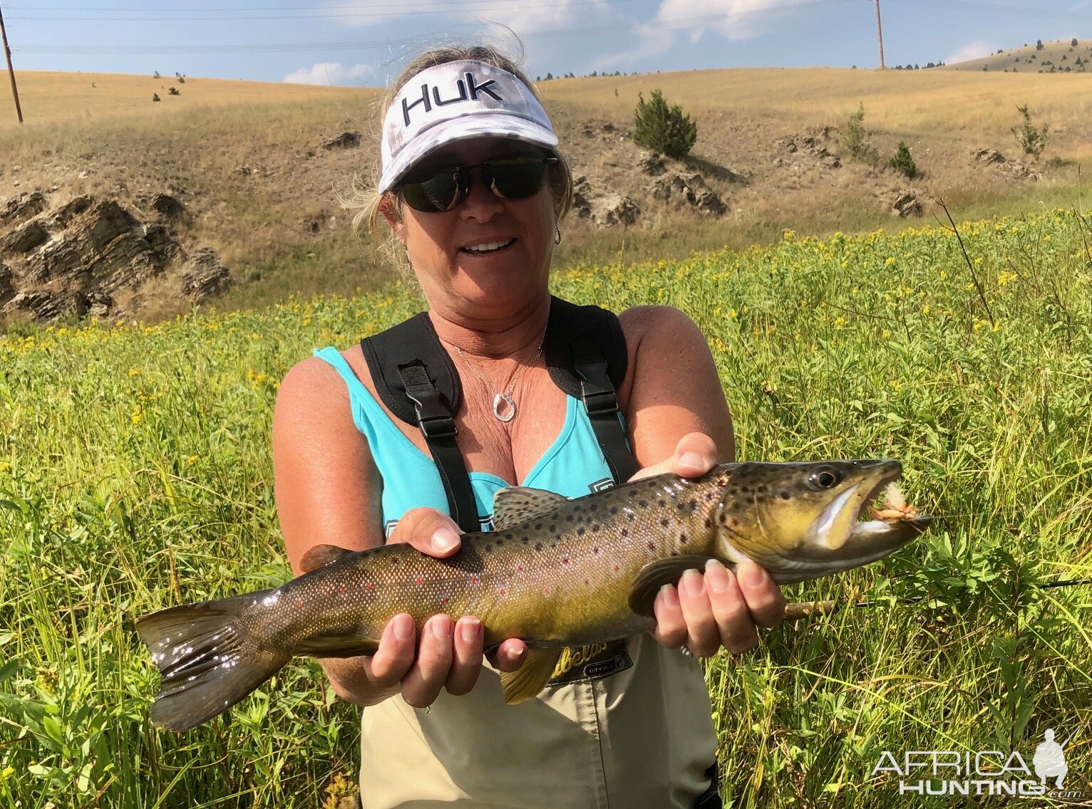 Fly Fishing Brown Trout Montana USA