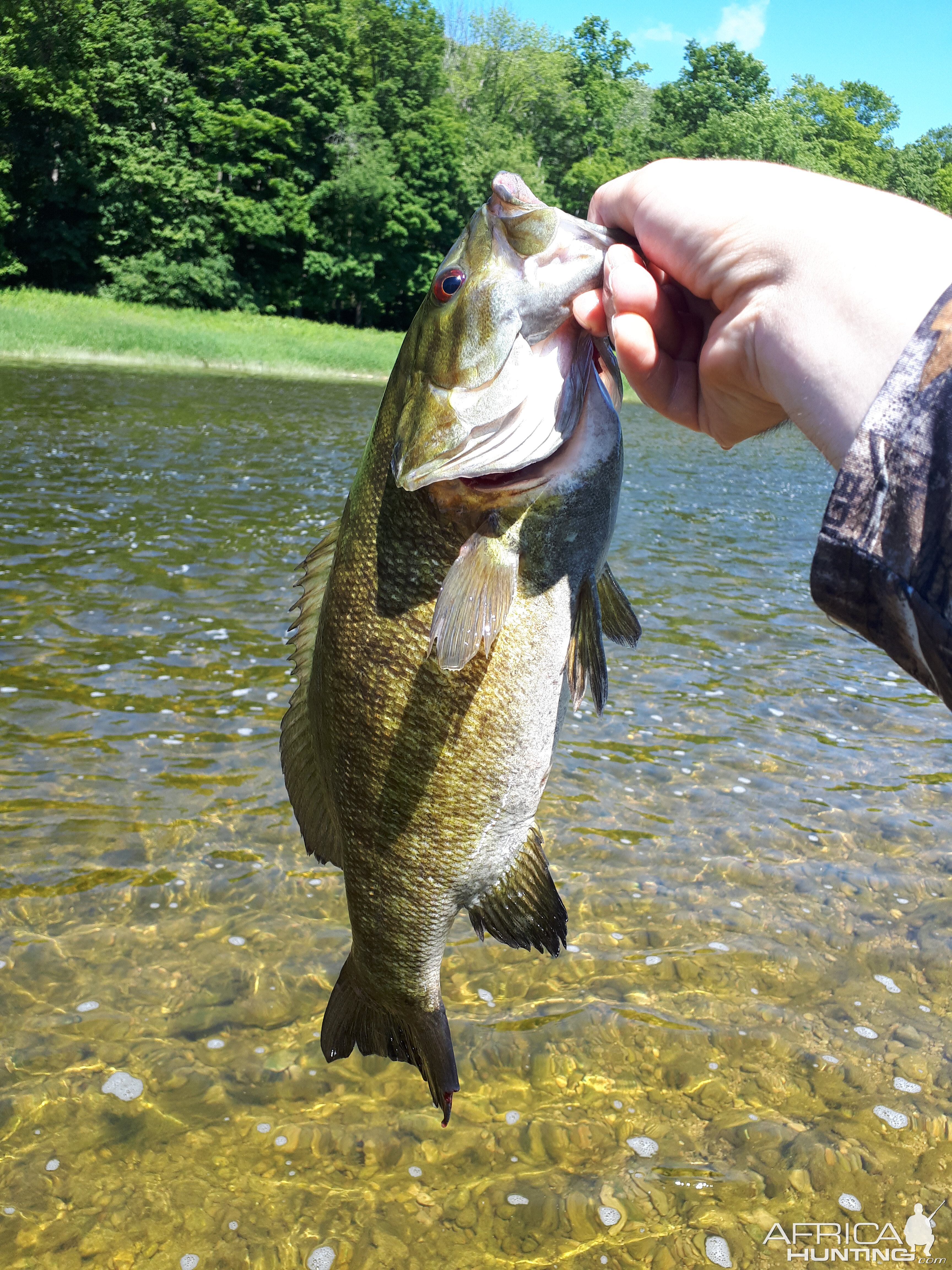 Fly Fishing River Bass in SW Ontario Canada