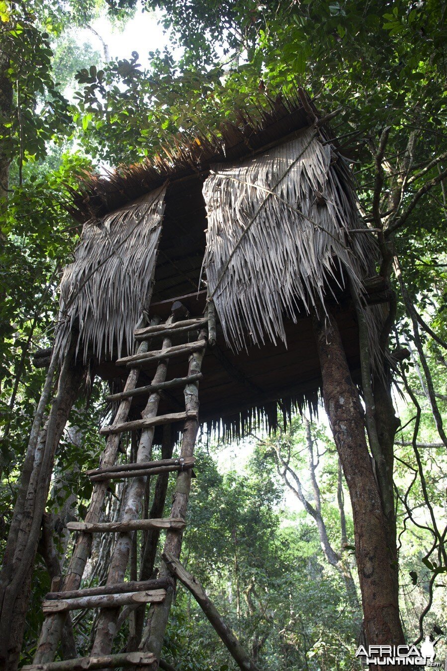 Forest machan high tower