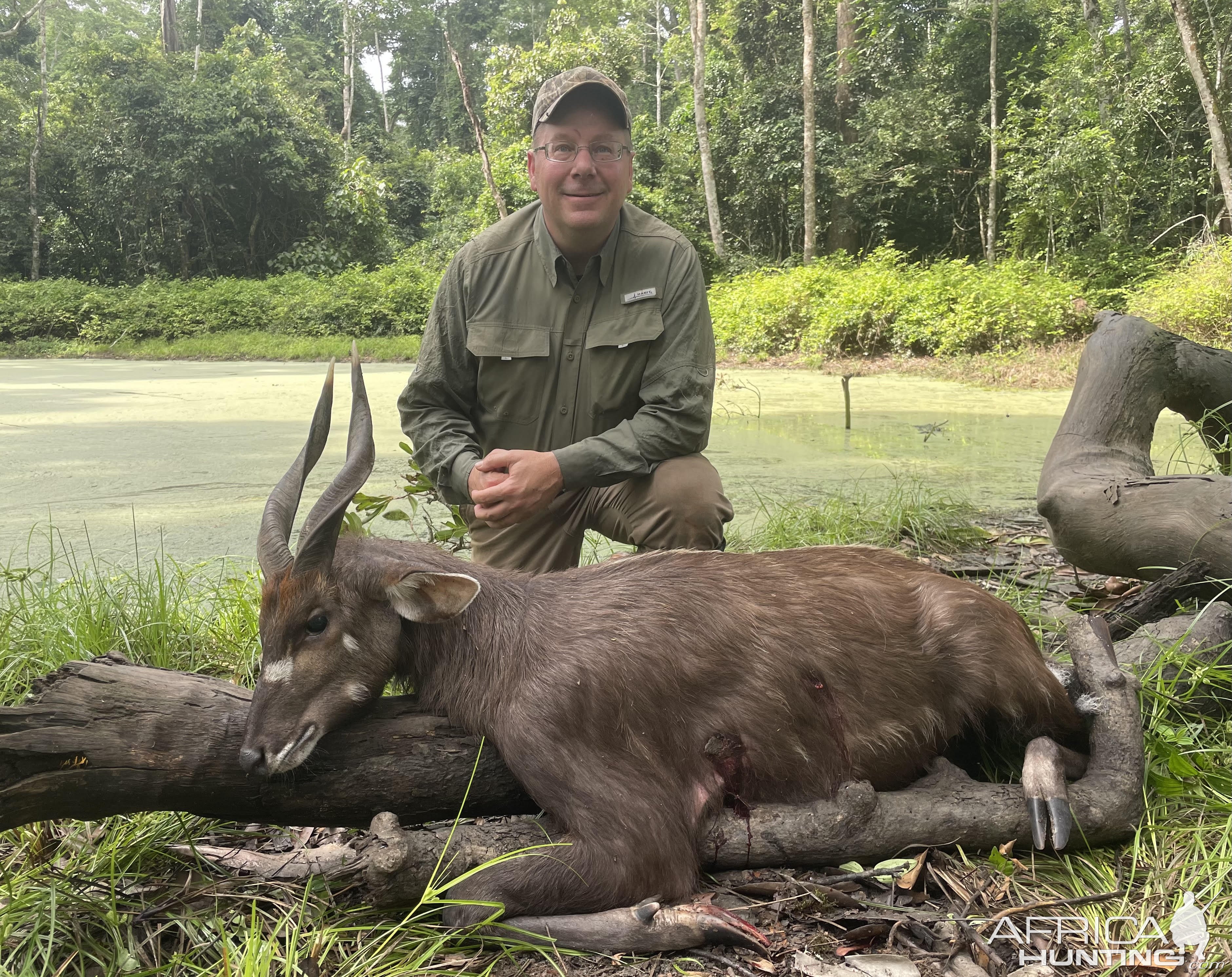 Forest Sitatunga Hunt Cameroon