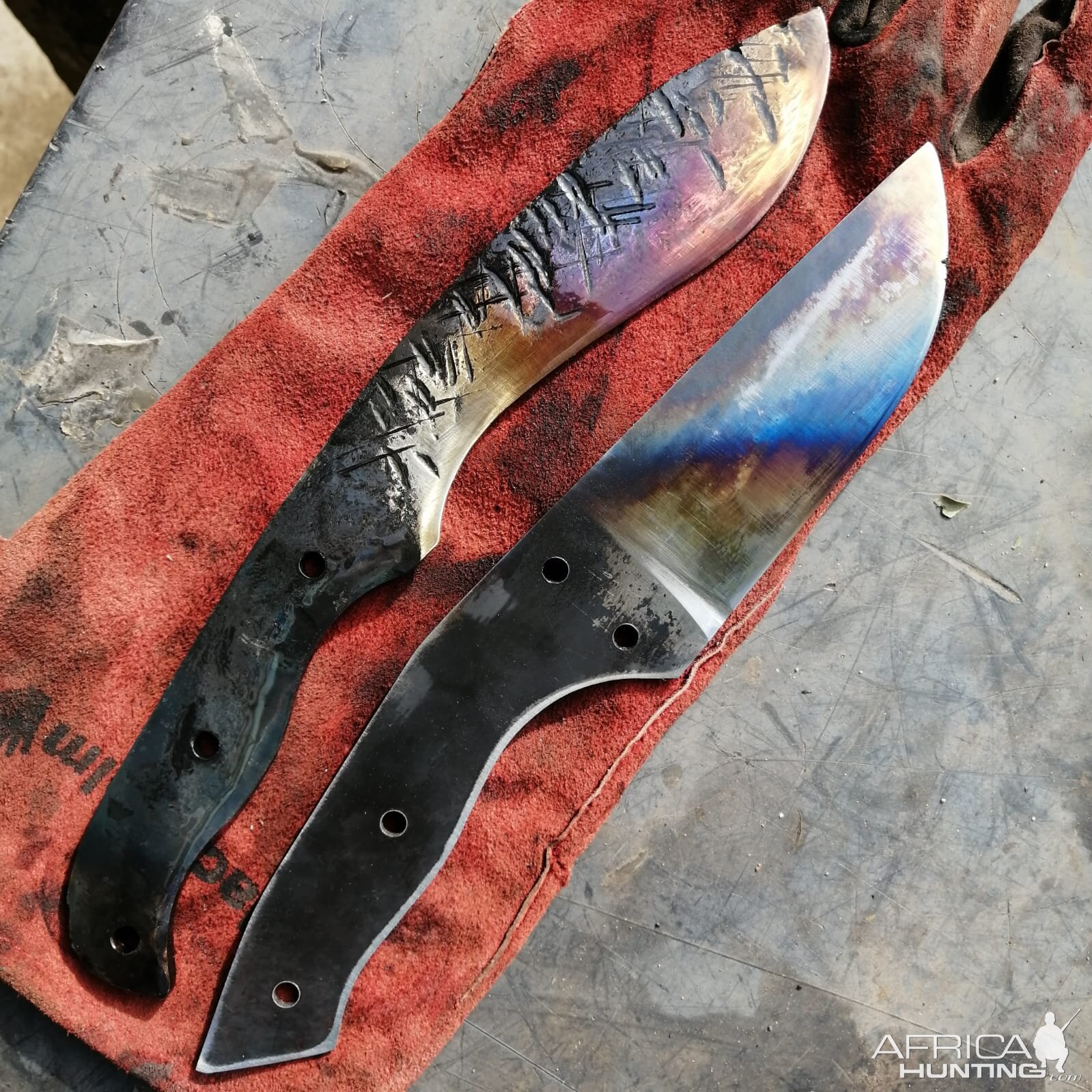 Forging knife blades for hunting knifes