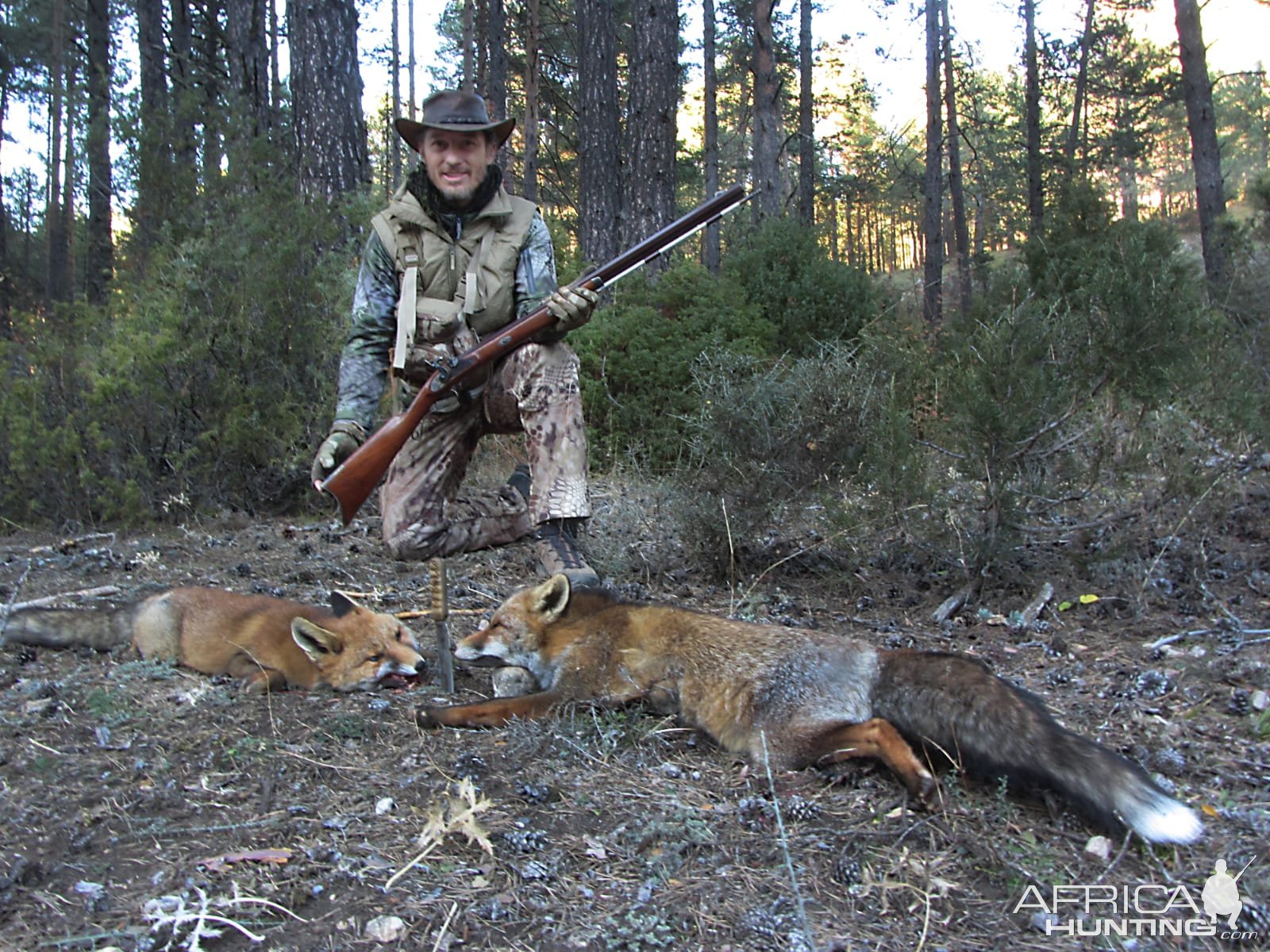 Fox Hunting Spain