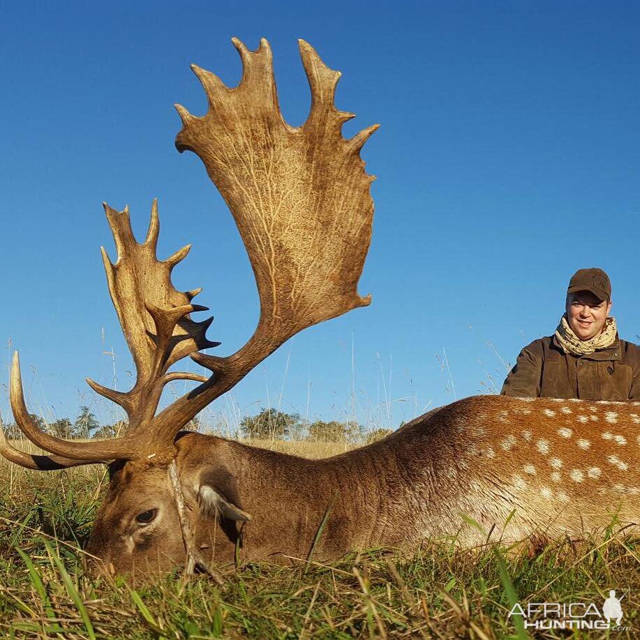 France Hunt Fallow Deer