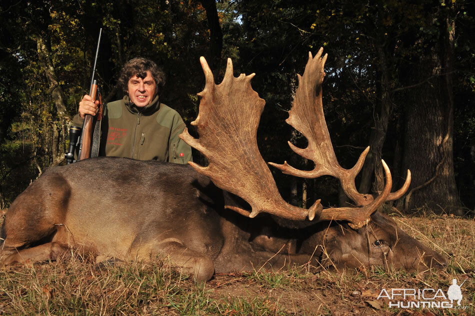 France Hunt Fallow Deer