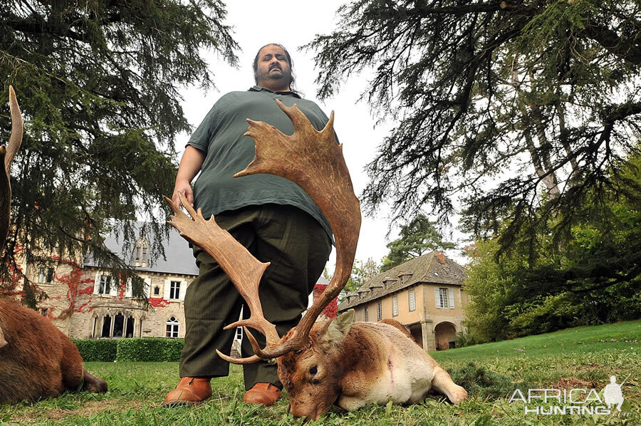 France Hunt Fallow Deer