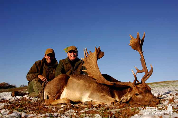 France Hunt Fallow Deer