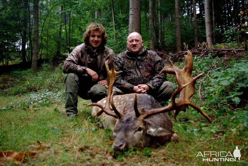 France Hunt Fallow Deer