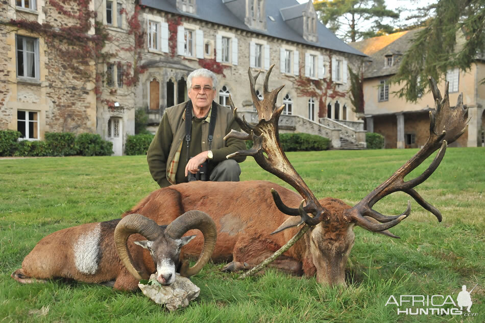 France Hunt Mouflon & Red stag