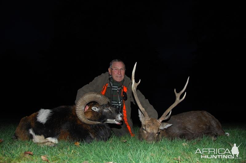 France Hunt Mouflon & Sika Deer