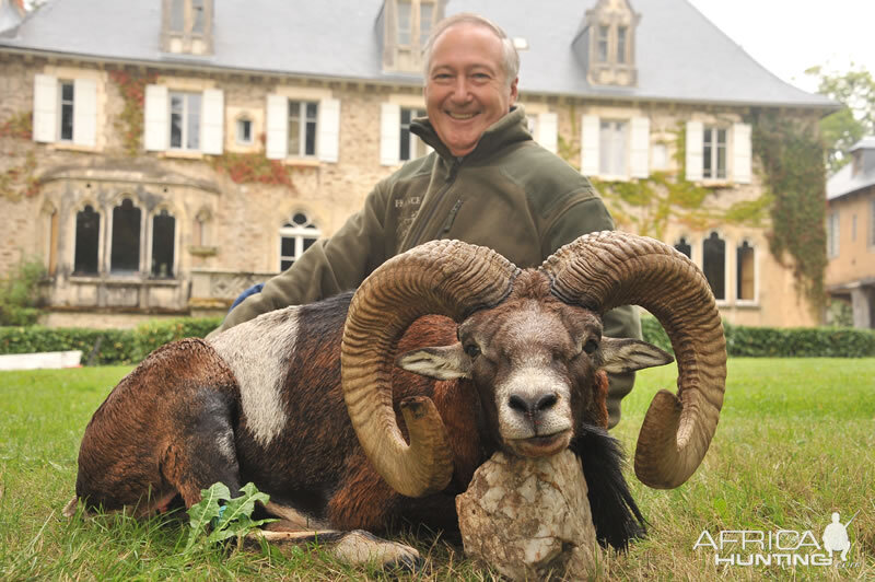 France Hunt Mouflon