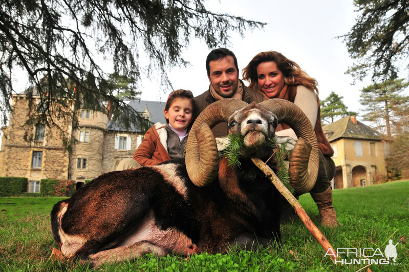 France Hunt Mouflon