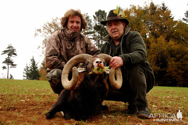 France Hunt Mouflon