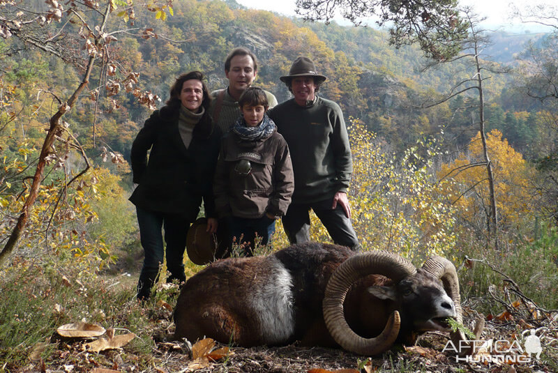 France Hunt Mouflon