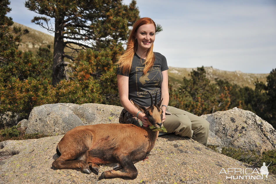 France Hunt Pyrenean Chamois