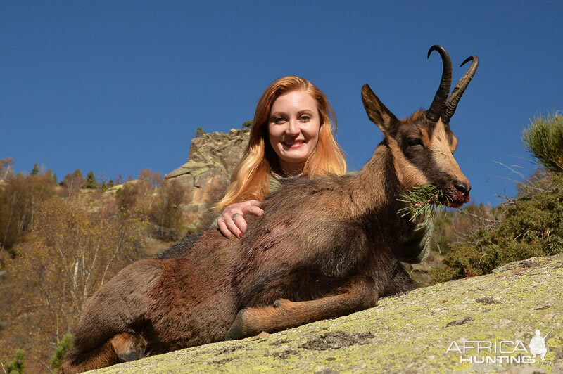 France Hunt Pyrenean Chamois