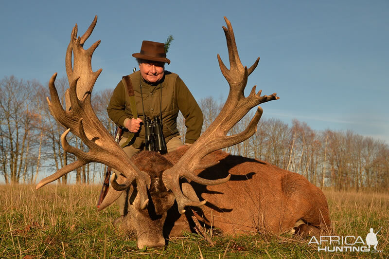 France Hunt Red Stag