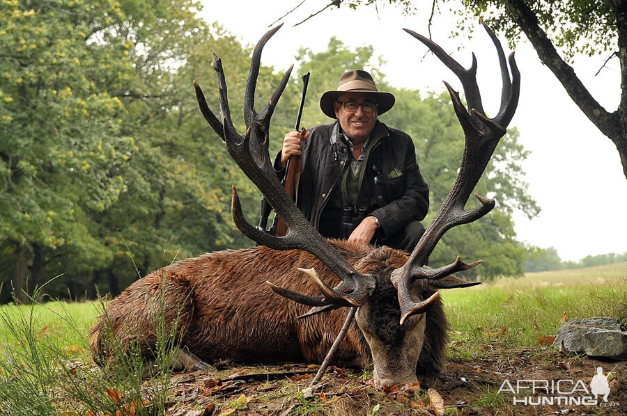 France Hunt Red Stag