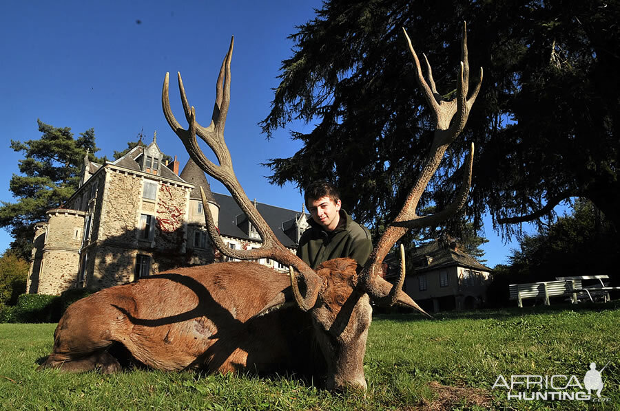 France Hunt Red Stag