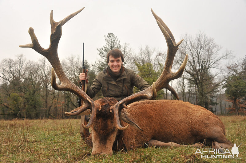 France Hunt Red Stag