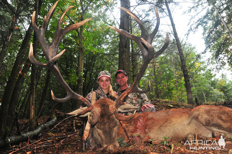 France Hunt Red Stag