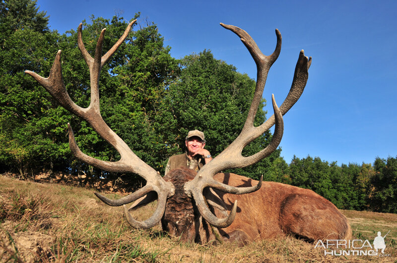 France Hunt Red Stag