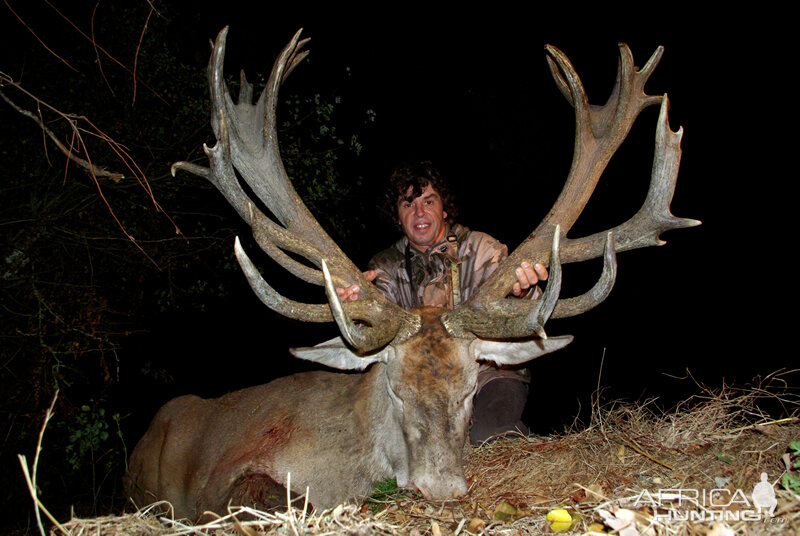 France Hunt Red Stag