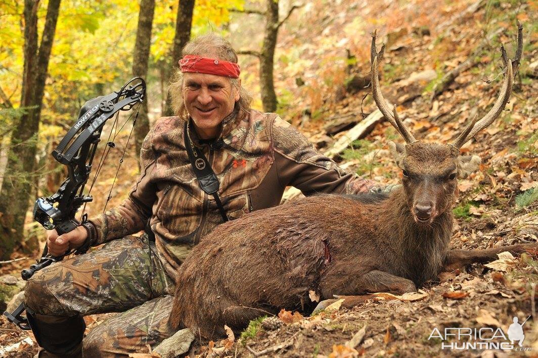 France Hunt Sika Deer